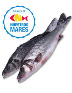 Lubina